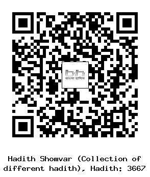 Hadith QR