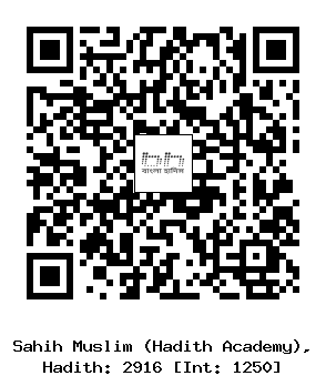 Hadith QR