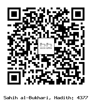 Hadith QR