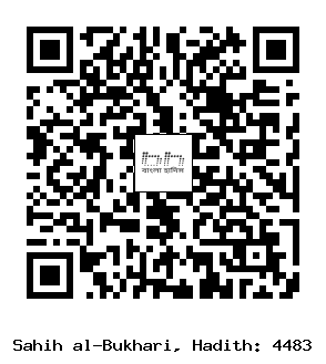 Hadith QR