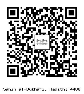 Hadith QR