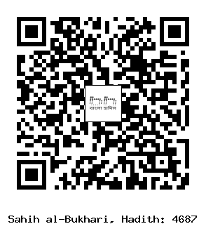 Hadith QR