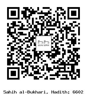 Hadith QR