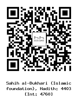 Hadith QR